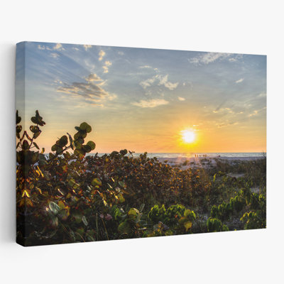 Sea Grapes At Sunset Sunrises / Sunset Art, art contemporain