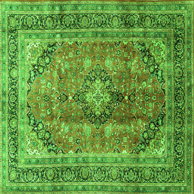 Performance Oriental Indoor Rug