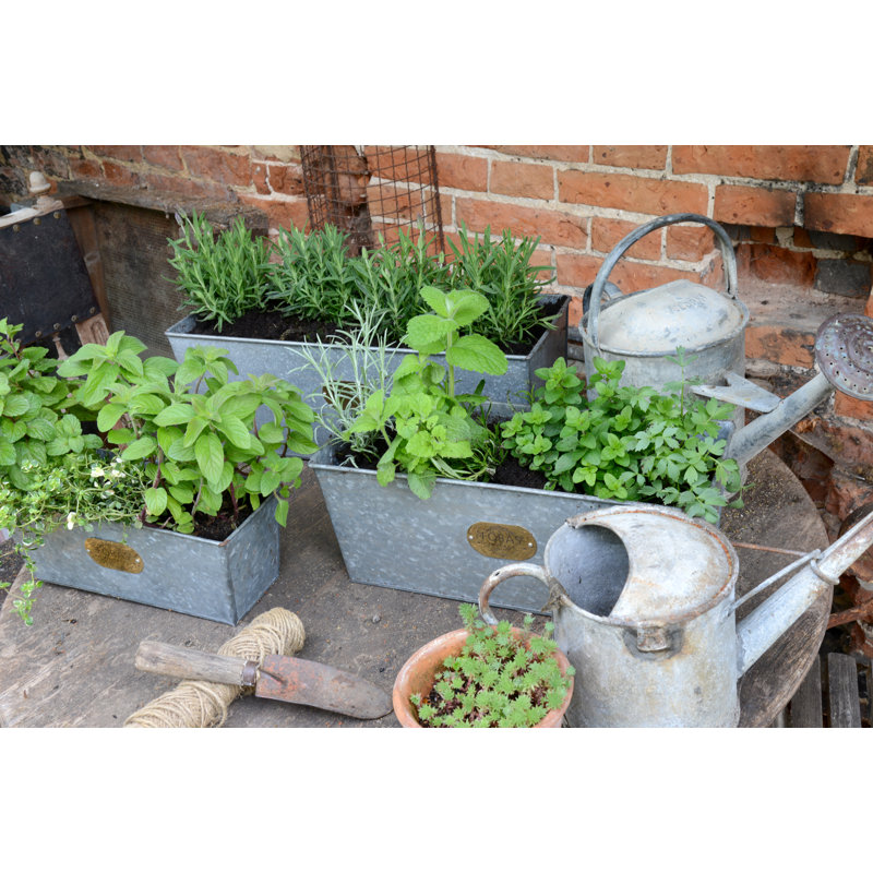 Rambo Handmade Metal Planter Box, 18cm H x 50cm W x 18cm D