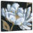 Midnight Bloom-109357941