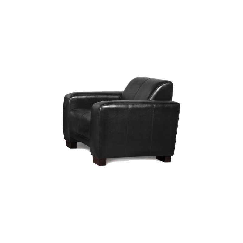 Modoc Upholstered Club Chair, Black
