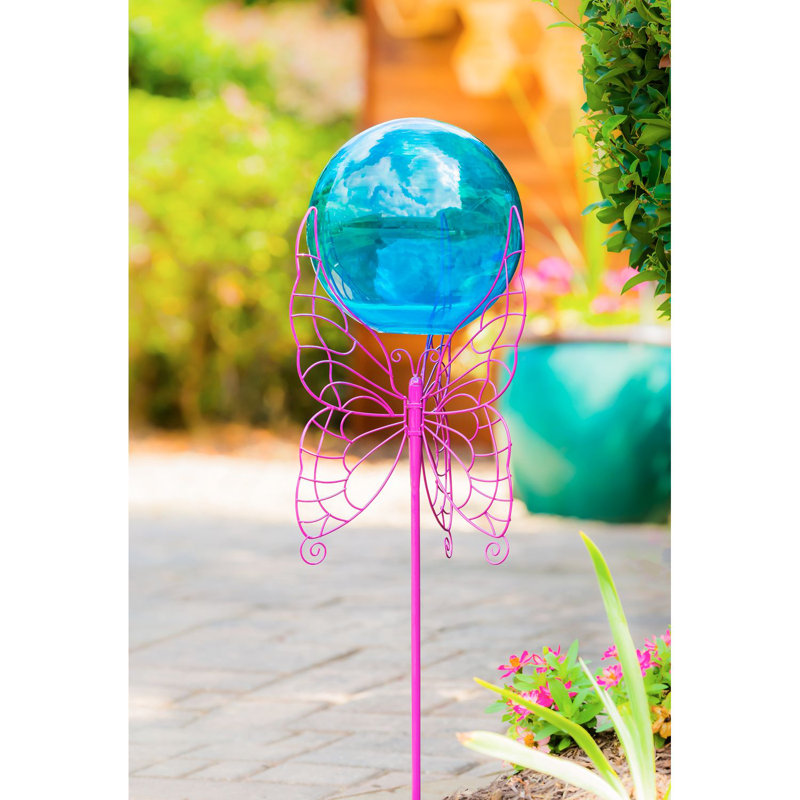 Balle fixant le papillon Hehir, Bleu / rose