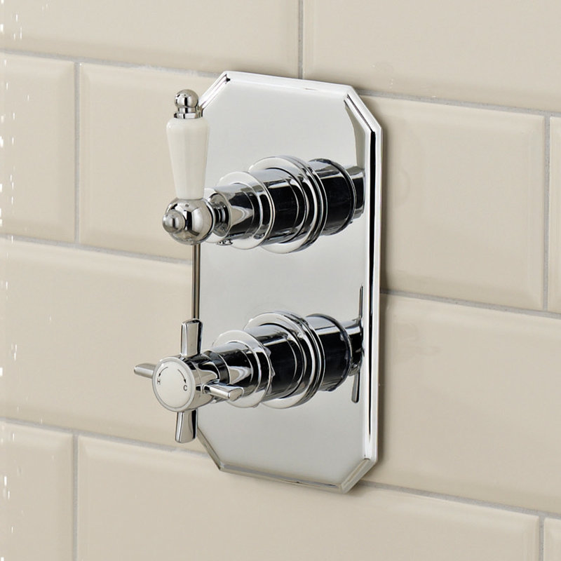 Esser Double Concealed Thermostatic Shower Valve