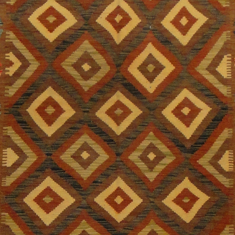 Azpeitia Wool Southwestern Indoor Rug