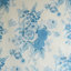 Blue/White