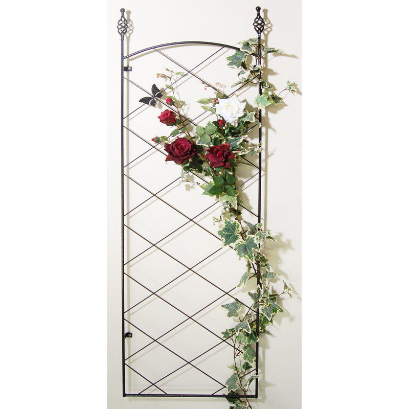 Millville 164cm H x 52cm W Lattice Panel Trellis