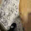 Customer photo 2 of 6