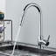 Belfry Kitchen Waldron Pull Out Kitchen Faucet