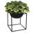 Metal Pot Planter