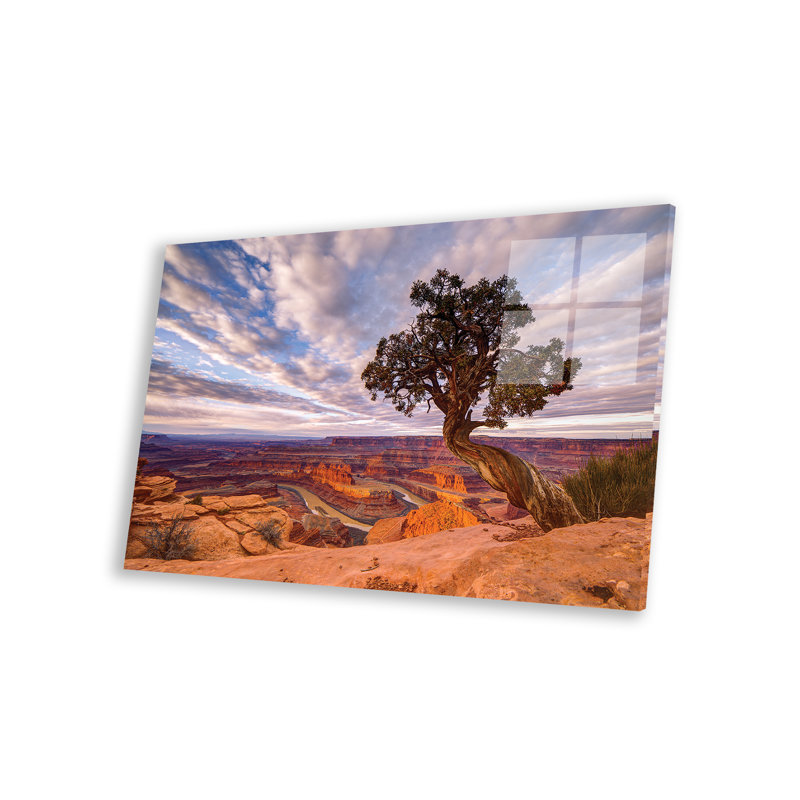 «Dead Horse Point» par Dustin LeFevre
