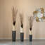 English Willow Branch-1769193754