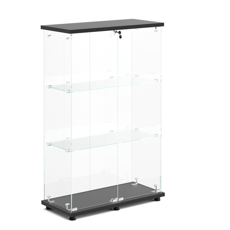 Vitrine noire à 2 portes et 3 tablettes avec éclairage DEL, Noir
