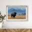 Mountain Bison I Framed Graphic Art-844989541-844989544
