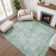 Premium Machine Washable Maag AMF1764 Modern Rug