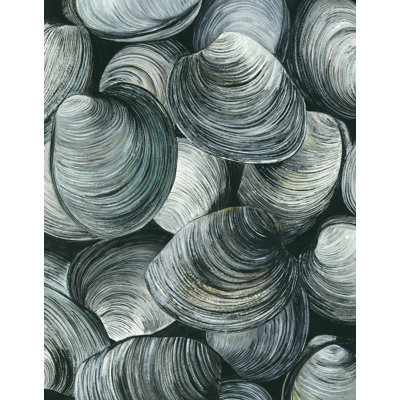 Ocean Sea Life Sea Shells " Ocean Sea Life Sea Shells " by Damon Crook
