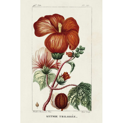 «Turpin Tropical Botanicals VII» par Turpin, reproduction d'art sur toile tendue
