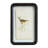 6‑Piece Wood Framed Wall Décor with Floating Bird Art in Distressed Finish