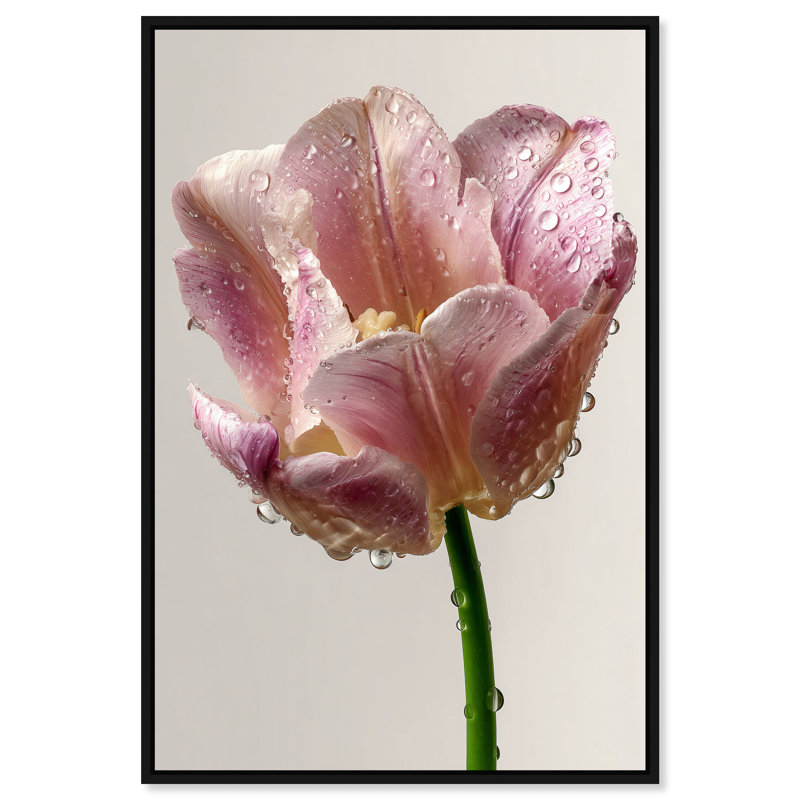 Droplet Tulip I Floral & Botanical Canvas Print by Oliver Gal, Black Frame, 10 x 15, 11"H x 16"W, Black Floater Frame