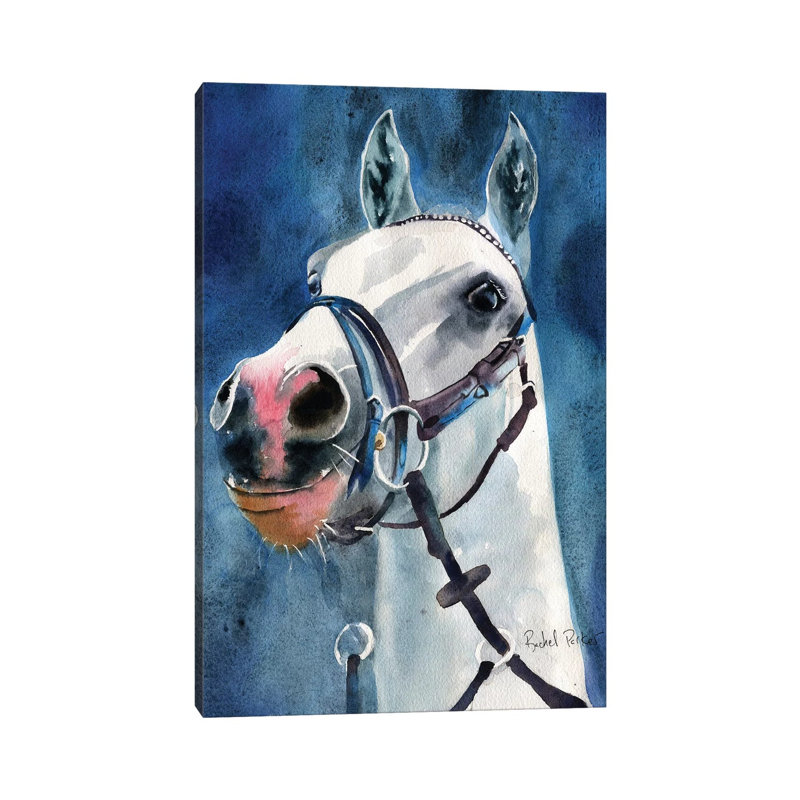 Welsh Pony Spirit by Rachel Parker - Painting on Canvas, Wrapped Canvas, 30.48 cm H x 45.72 cm W