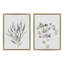 «Neutral Botanical 1 and 2», ensemble de toiles encadrées par The Creative Bunch Studio 2 pièces 18 x 24 naturel-1705304194