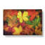 Leaves On An Autumn Forest - Wrapped Canvas Painting-55365260