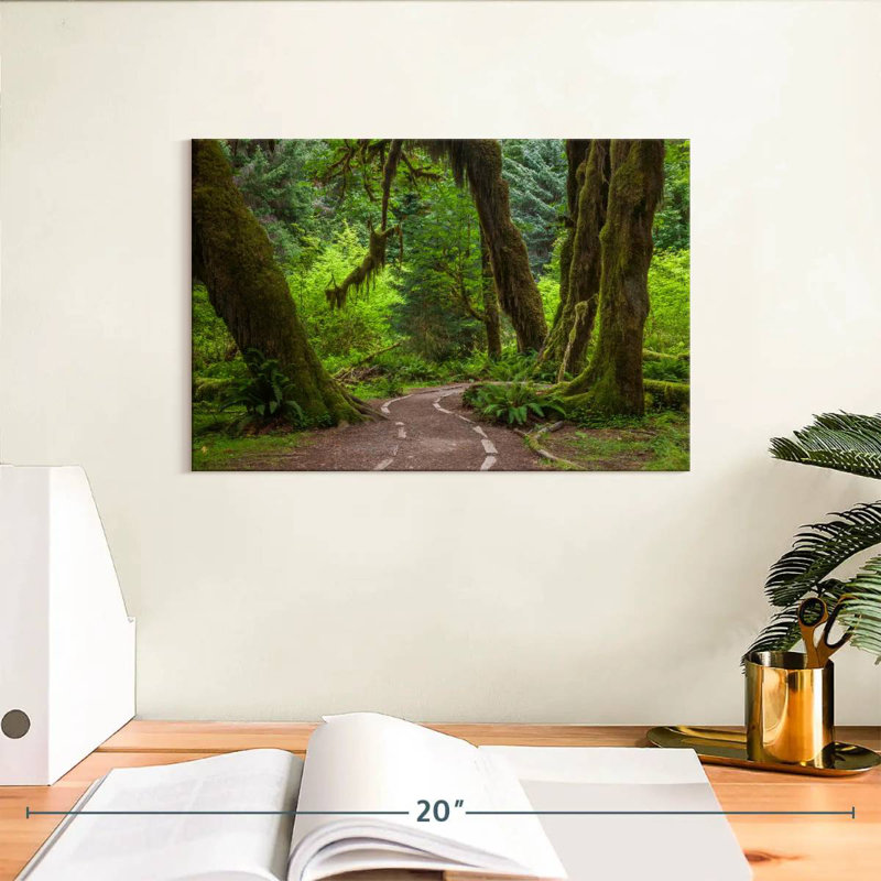 Harnek Hoh Rainforest Trail, H 8 po x l 12 po