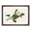 Pink Camelia Flower by Kono Bairei - Framed Print-55768725-55768729