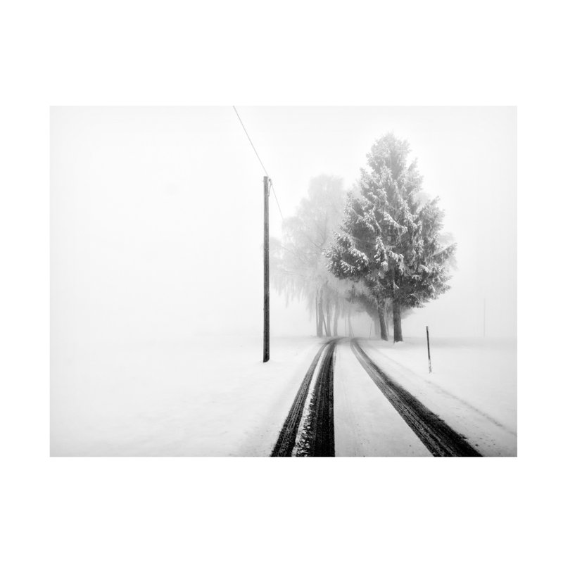 Franz Bogner White Tree Gate Canvas Art, H 35 po x l 47 po
