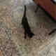 Photos des clients 2 de 4