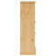 Freestanding Bathroom Cabinet