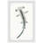 Chipman The Hammerhead Framed Print-325663735