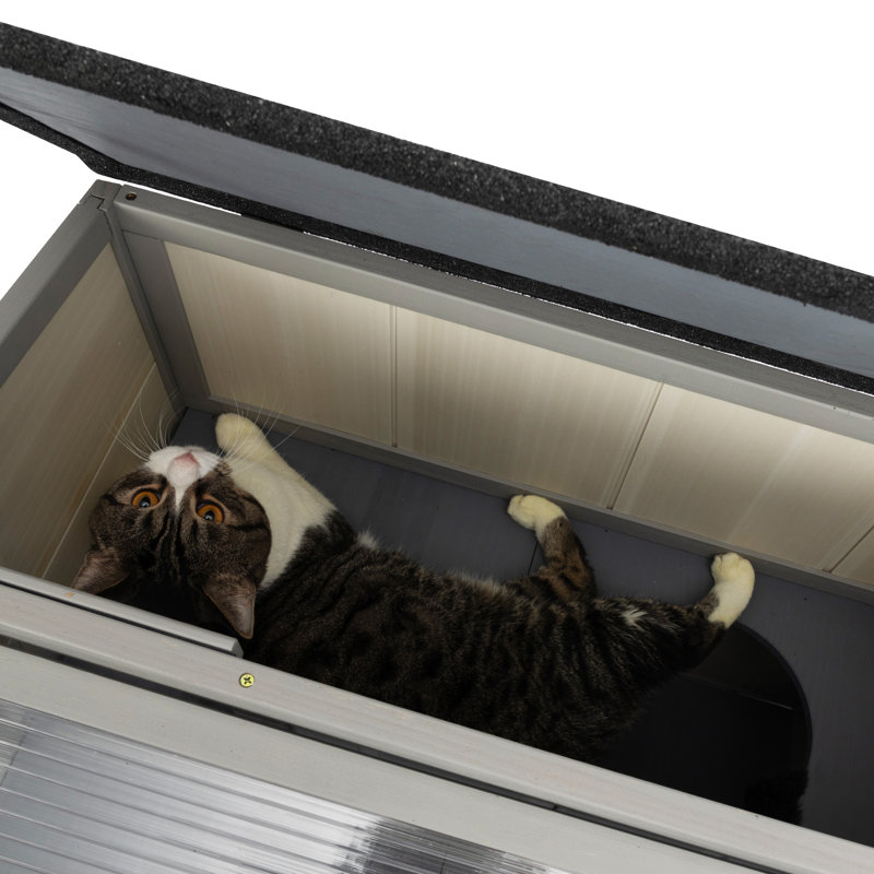Abri pour chat en bois à 2 niveaux avec balcon et toit ensoleillé pour chat