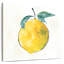 Yarlin «Happy Lemon»-109206110