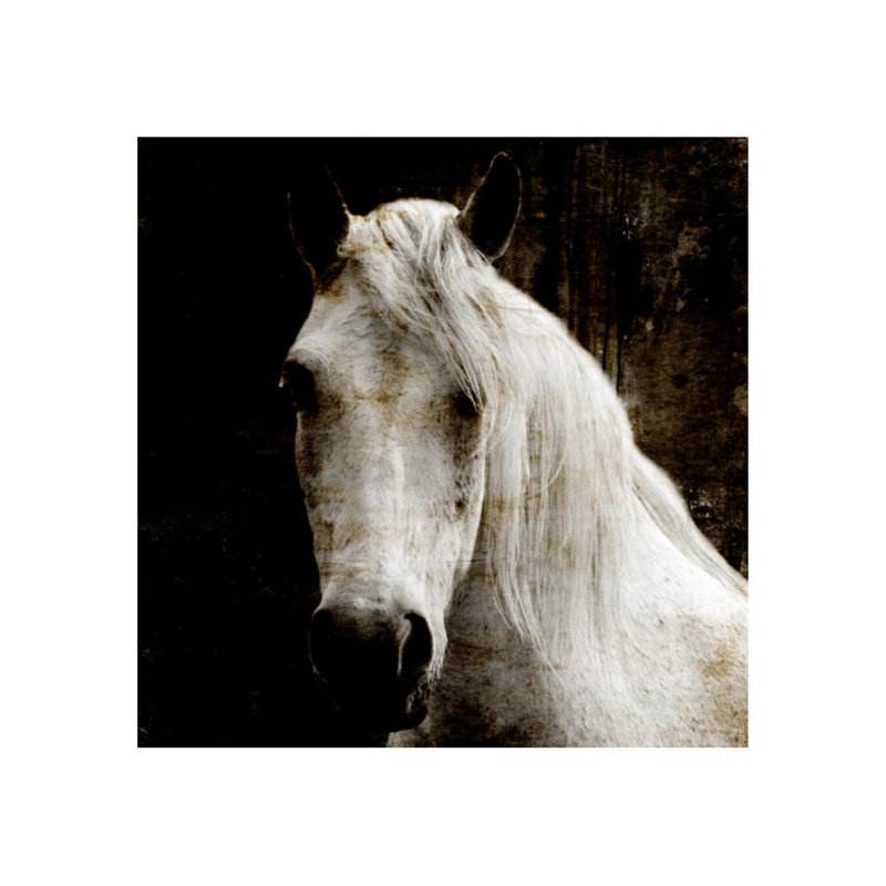 Aristotle I Print by Sofia Fox, Outdoor, 40" H x 40" W