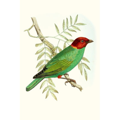 On Perch V - Painting Print