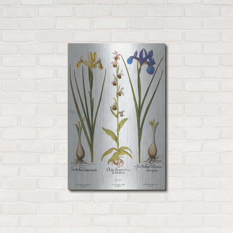 «Orchids» par Art Licensing Studio, art mural en métal de luxe, 24 po x 36 po, H 36 po x l 24 po
