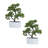 2-pack 14” Faux Bonsai Trees With Real Touch Leaves, In A Modern Geometric Ceramic Vase