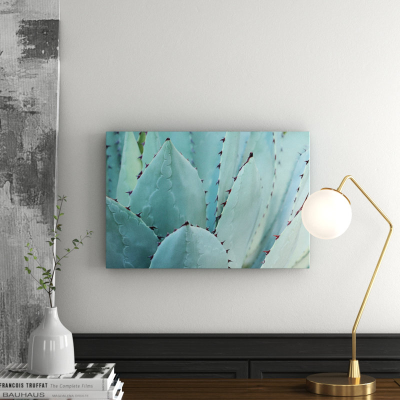 Wrapped Canvas Print, 41cm H x 61cm W x 3.81cm D
