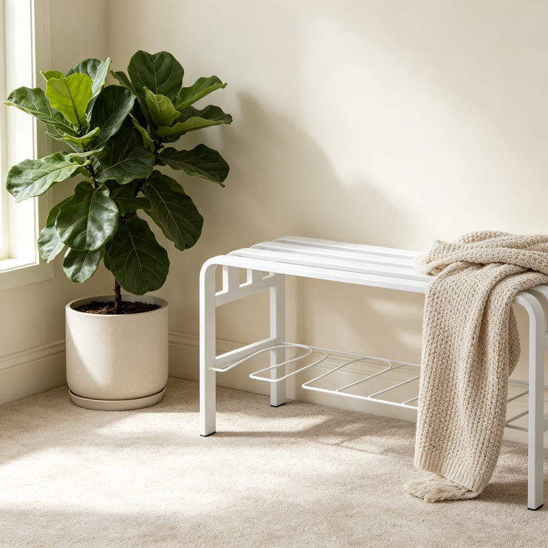 Banc à chaussures horizontal en acier, range-chaussures pour entrée, banc de rangement pour chaussures avec structure en fil incurvé, finition thermolaquée, blanc