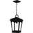 Claborn 1-Light Earth Black Outdoor Hanging Lantern