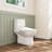 Smart Toilet Bidet Seat with Warm Water Flush, Heated Seat, Night Light, Dryer (Toilet Not Included)