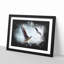Pair of Flying Seagulls - Picture Frame Graphic Art Print-56861228-56861231