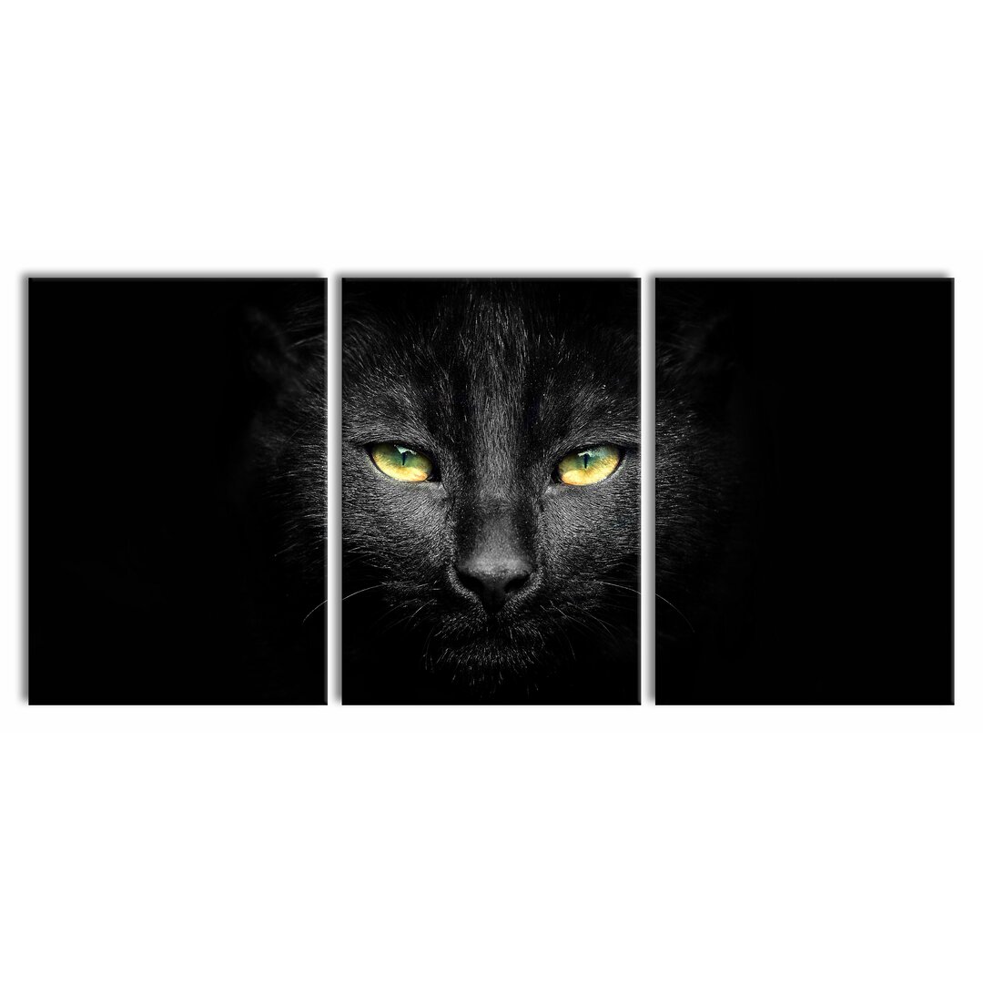 3-tlg. Leinwandbilder-Set Dark Black Cat Face