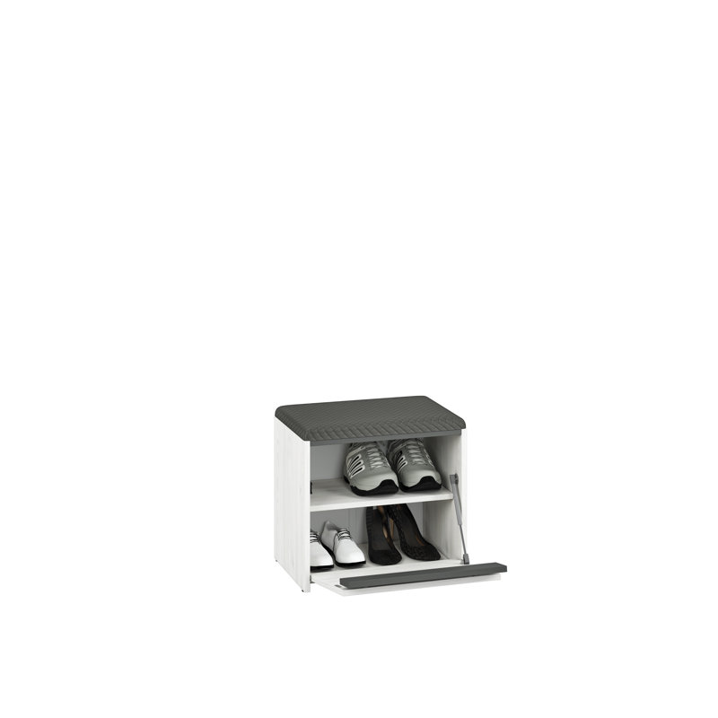 Azaneth 4 Pair Shoe Storage Cabinet