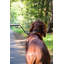 Cousins Dog Bicycle Leash