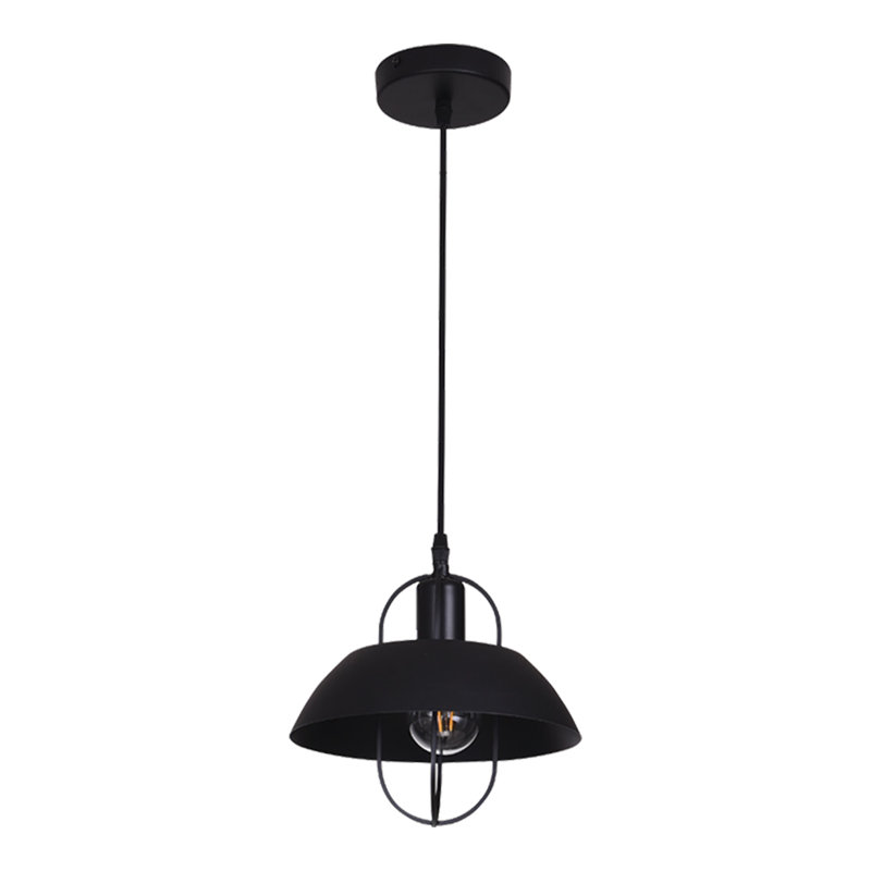 Luminaire suspendu en dome à 1 lumière