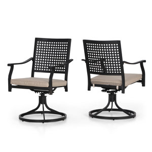 Argyri 2 Piece Outdoor Metal Swivel Chairs With Cushion