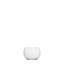 Ciero Stemless Wine Glass