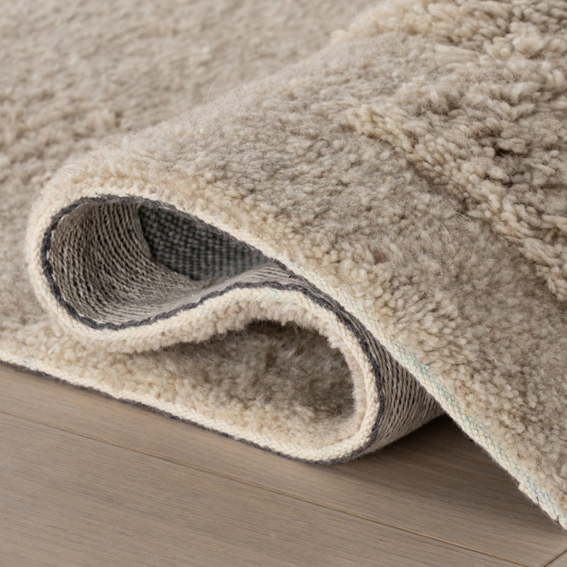 Tapis moderne en laine Flaviana, Rectangle de 9 pi 6 po x 13 pi 6 po, Beige