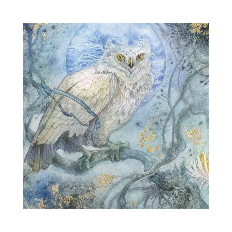 Night Wings I by Stephanie Law - Wrapped Canvas Gallery-Wrapped Canvas Giclée, 30.48 cm H x 30.48 cm W